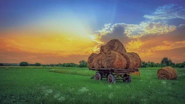 Puri