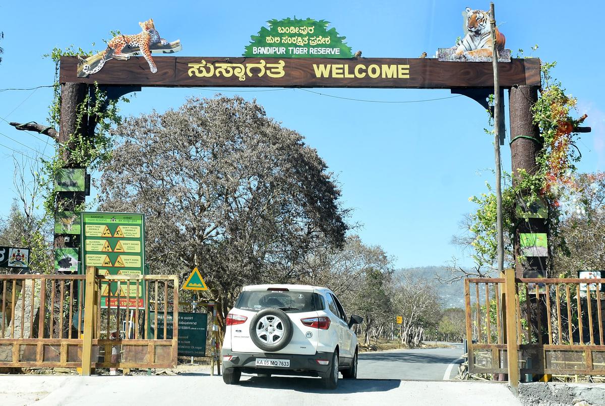 Bandipur safari timings