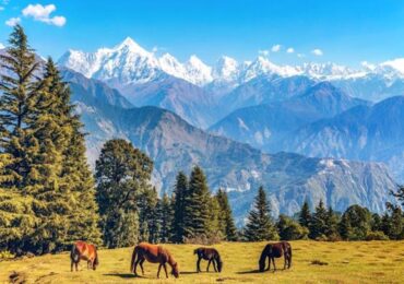 Munsiyari Honeymoon Tour