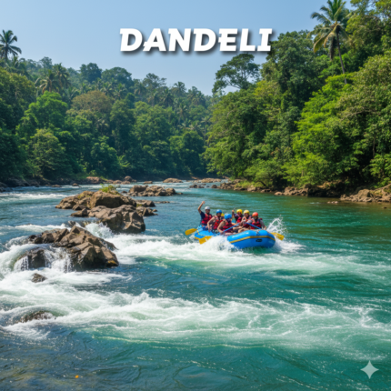 A view of the Kali River in Dandeli, Karnataka, featuring clear turquoise water rapids, large dark rocks, dense green forest on the banks, and a group of people enjoying whitewater rafting in an inflatable boat. The word "DANDELI" is overlaid in white.