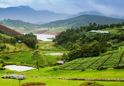 ooty tour package from bangalore