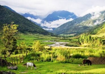 Anini Chowkham Tour Package