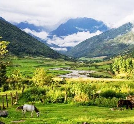 Anini Chowkham Tour Package