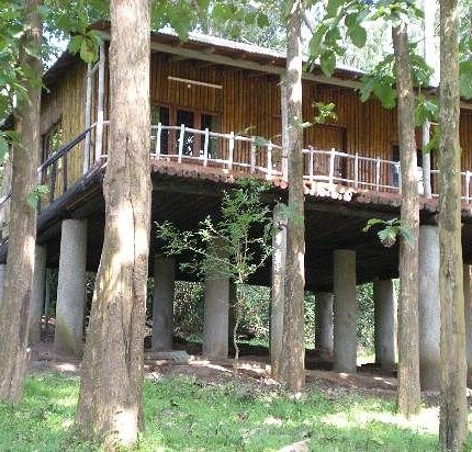 Anamalai Tiger Reserve Pollachi Tour Packages from Delhi