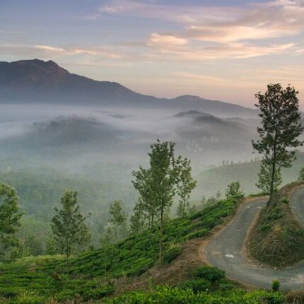 wayanad tour package from mangalore