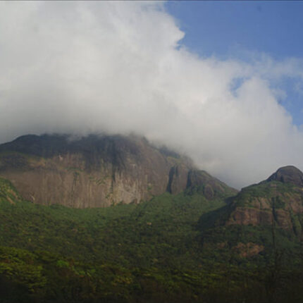 Agasthiyamalai Tour Package from Bangalore