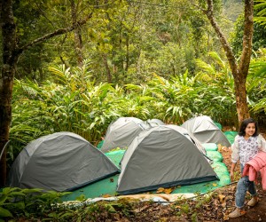 wayanad tour package from kozhikode