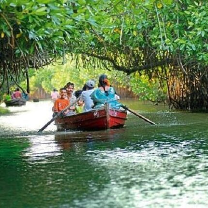 Chidambaram Pichavaram Tour Package