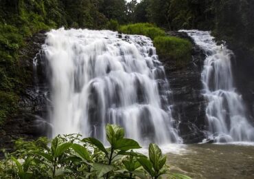 Coorg Ooty Tour Package