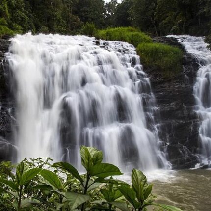 Coorg Ooty Tour Package