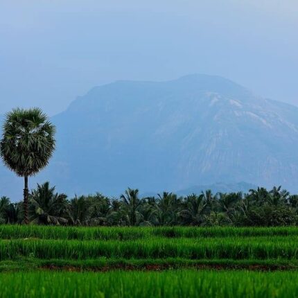 Pollachi Tour Package from Coimbatore