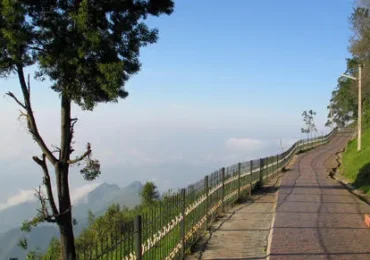Bangalore Mysore Ooty Kodaikanal Tour Package