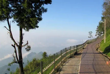 Bangalore Mysore Ooty Kodaikanal Tour Package