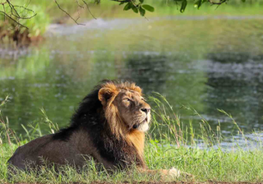 Ahmedabad Bhavnagar Sasangir Somnath Dwarka Rajkot Tour Package