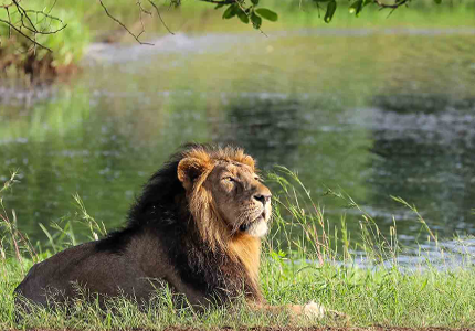 Ahmedabad Bhavnagar Sasangir Somnath Dwarka Rajkot Tour Package