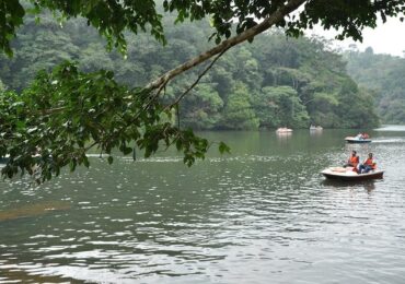 Mysore Wayanad Ooty Tour Package