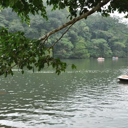 Mysore Wayanad Ooty Tour Package