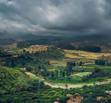 Mysore Coorg Ooty Kodaikanal Tour Package 9 Days
