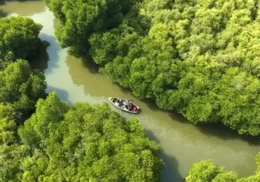 Pichavaram Tour Package from cheenai