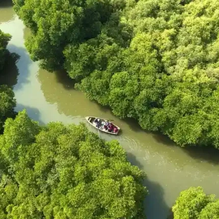 Pichavaram Tour Package from cheenai