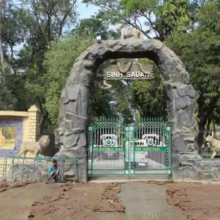 Ahmedabad Sasangir Rajkot Bhuj Tour Package Itinerary – 8 Days