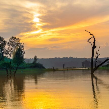 Kabini Tour Package