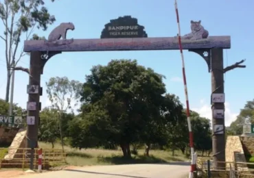 Mudumalai Bandipur Border Tour Package