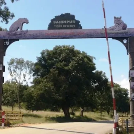 Mudumalai Bandipur Border Tour Package