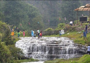 Tirupati Coorg Kodaikanal Wayanad Ooty Mysore Tour Package