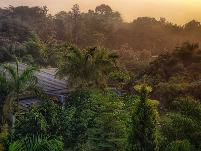 Bangalore Mysore Ooty Kodaikanal Munnar Tour Package