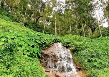 Bangalore Mysore Coorg Ooty Tour Package