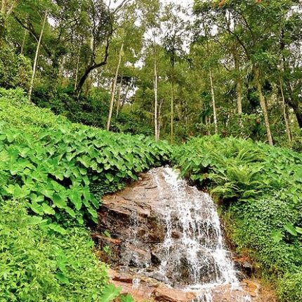 Bangalore Mysore Coorg Ooty Tour Package