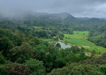 Bangalore Mysore Coorg Wayanad Tour Package