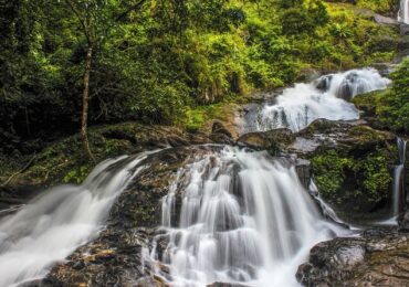 Mysore Coorg Tour Package