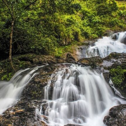 Mysore Coorg Tour Package