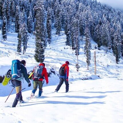 Pahalgam Srinagar Sonmarg Gulmarg Tour Package