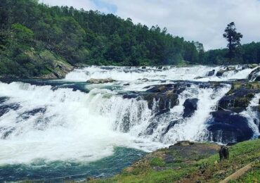 Mysore Ooty Kodaikanal Tour Package