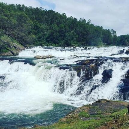 Mysore Ooty Kodaikanal Tour Package