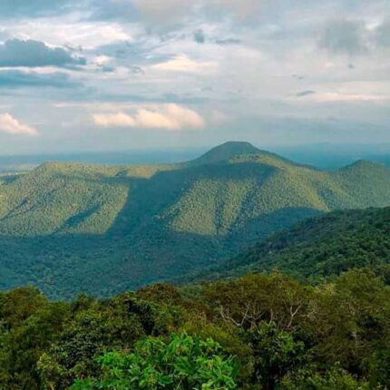 Bannerghatta Tour Package