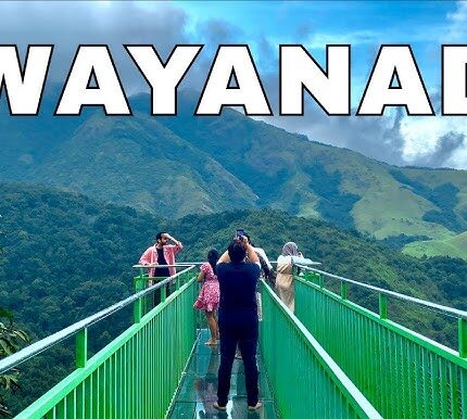 Ooty Wayanad Tour Package