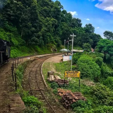 Mettupalayam Coonoor Tour Package