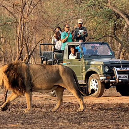 Ahmedabad Dasada Velavadar Sasangir Tour Package