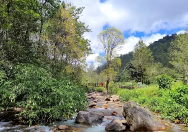 Kallar Coonoor Tour Package