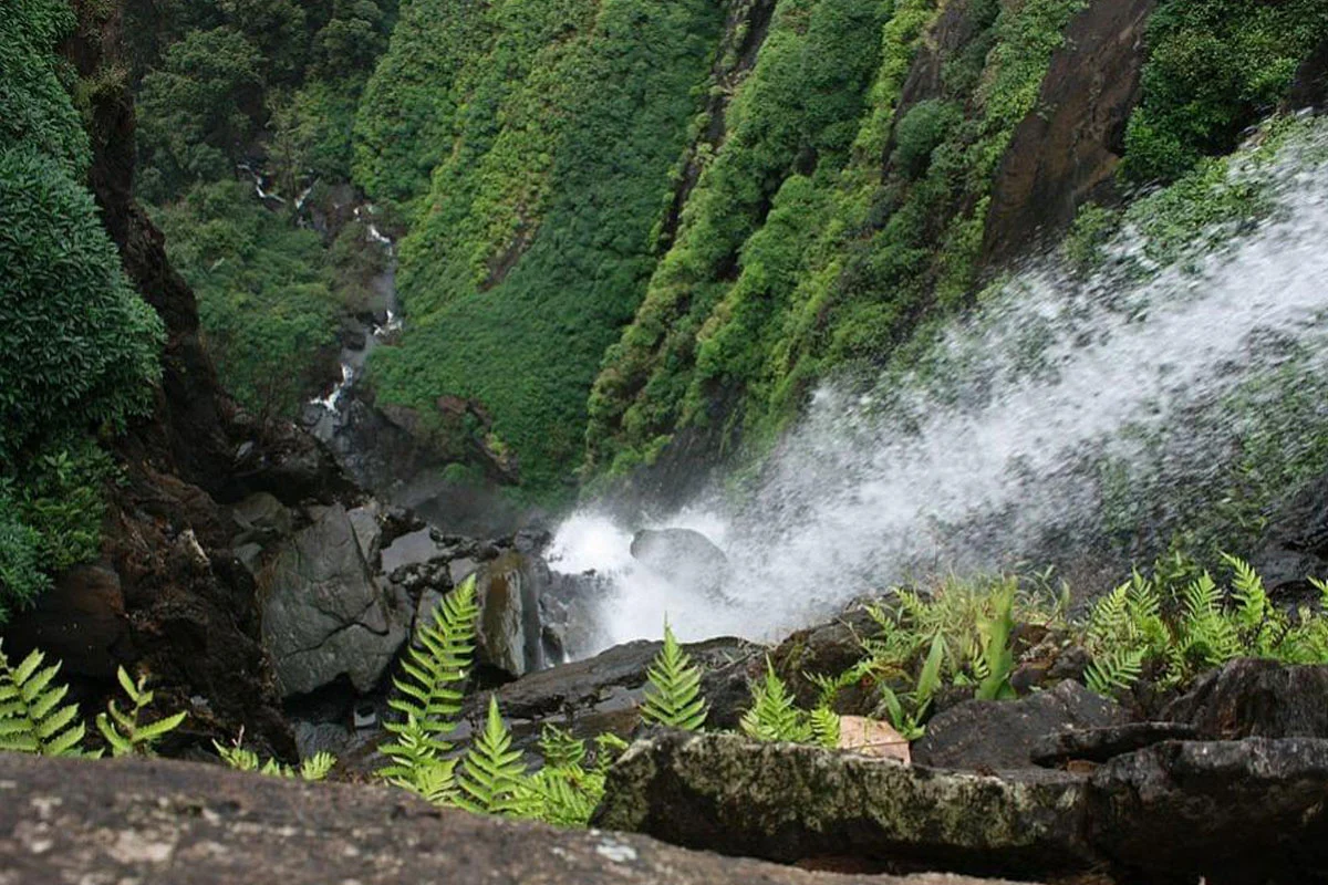 monsoon-destination Agumbe Tour Package
