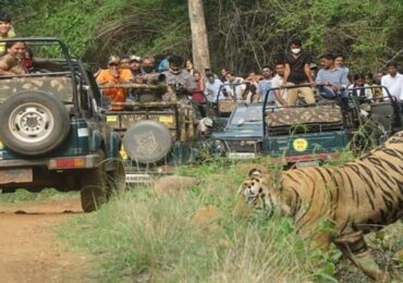 Mudumalai Tour Package
