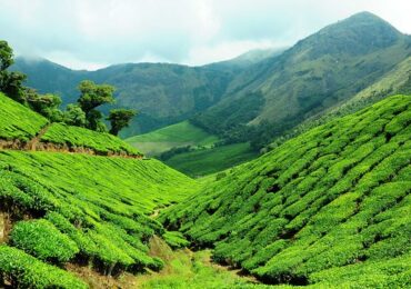 Ooty Kodaikanal Tour Package