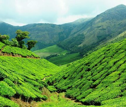 Ooty Kodaikanal Tour Package