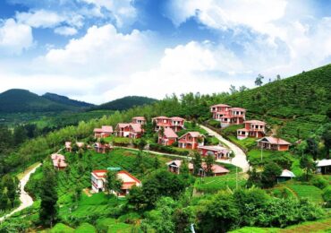 Bangalore Mysore Ooty Coorg Kodaikanal Wayanad Tour Package