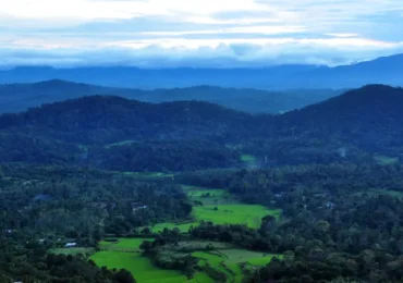 Mysore Coorg Ooty Tour Package