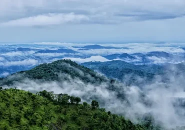 Wayanad Ooty Kodaikanal Mysore Coorg Tour Package 11 Days